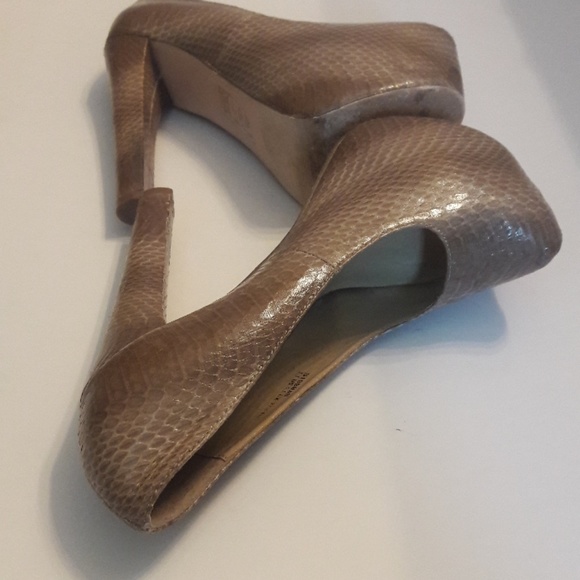 shoedazzle snake heels